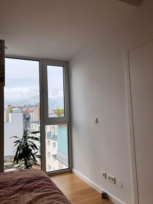Rooftop In And Over Wien